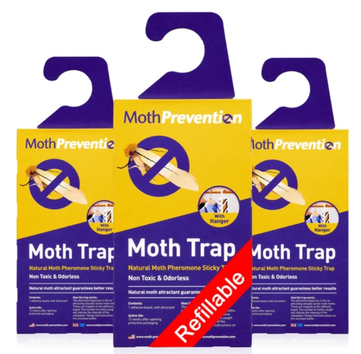 moth traps