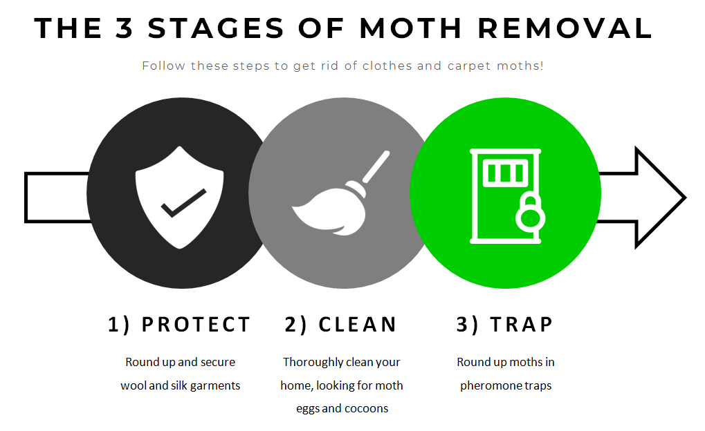 Moth-removal-stages